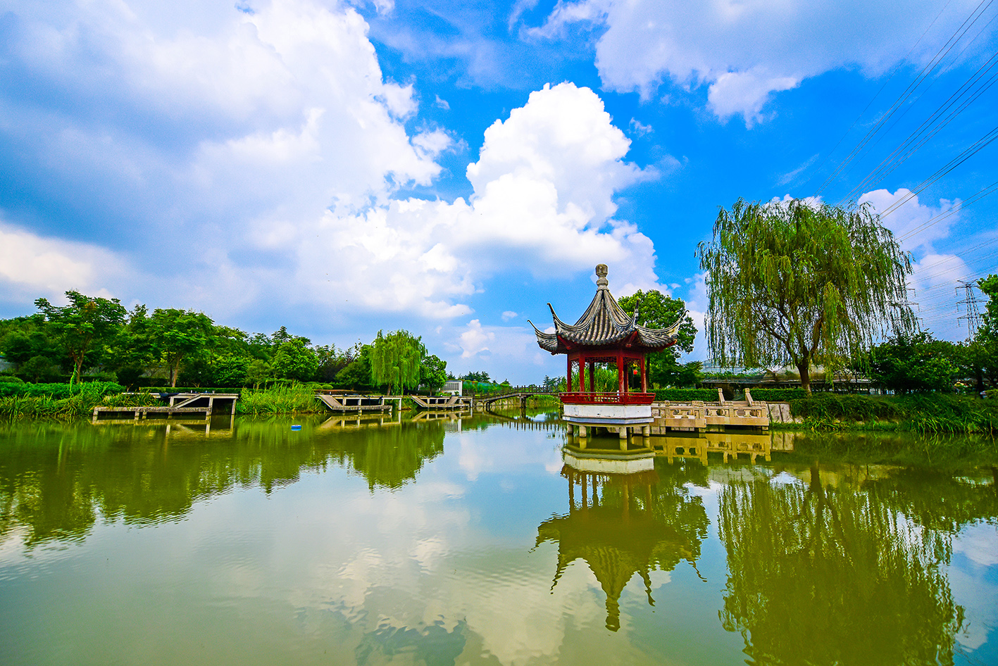 左岸芯慧发布农业领域首个马陆葡萄RWA项目