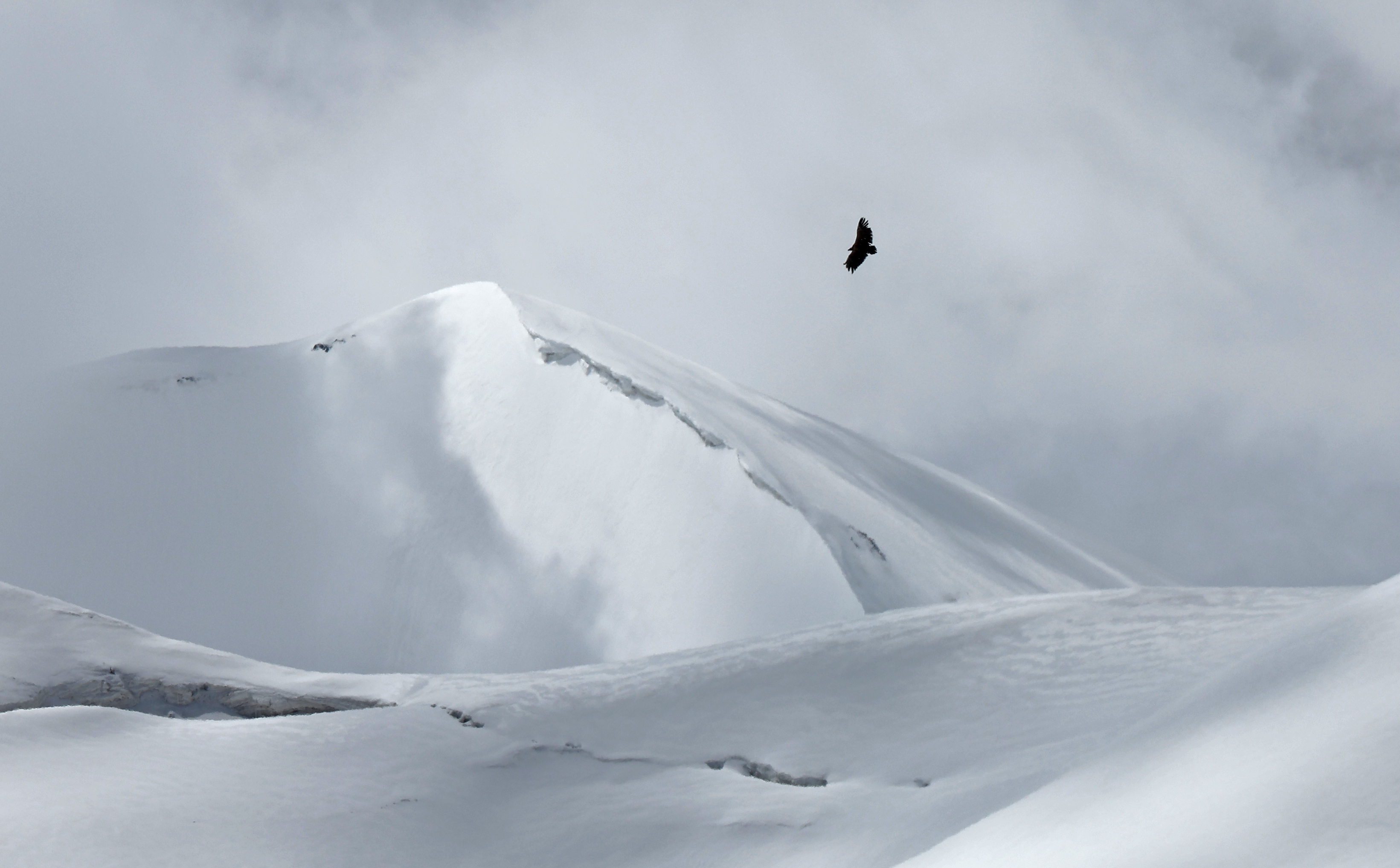 新华全媒+丨石头里年“榨”油超百万吨 我国首个国家级陆相页岩油示范区创造新纪录