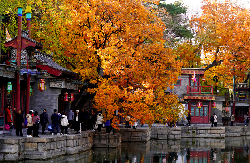 习近平向乌拉圭当选总统奥尔西致贺电