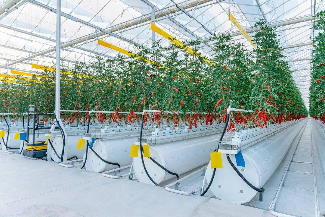 农业“黑科技”彰显现代农业新气象