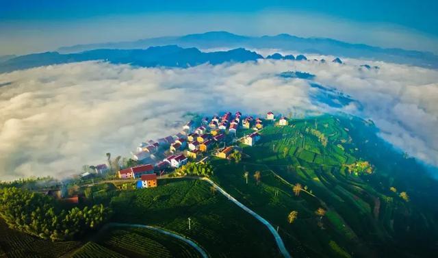 质量至上 规模让位 理财公司监管评级办法呼之欲出