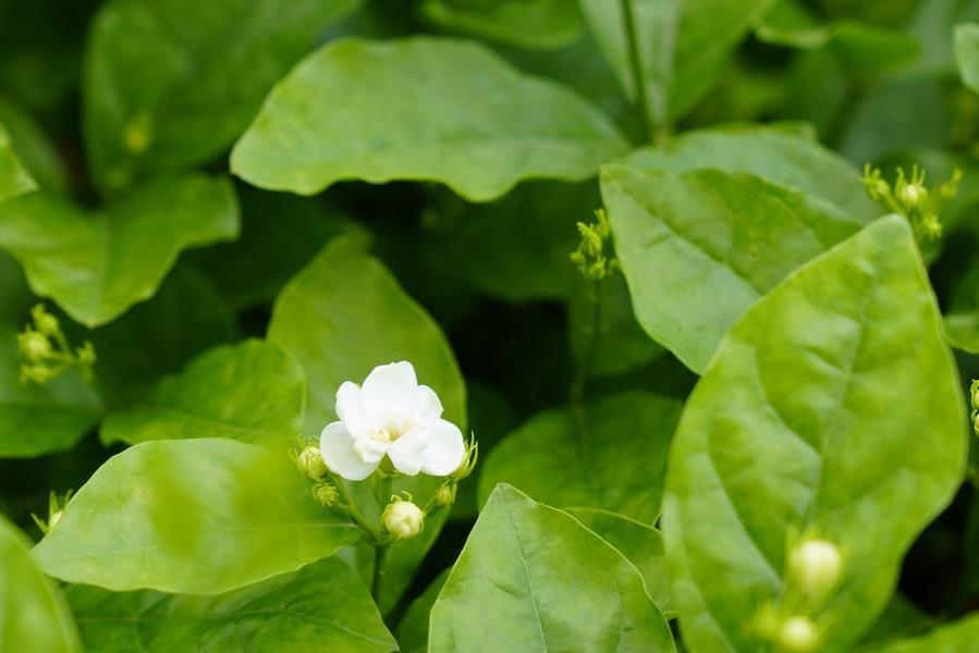 中国化学天辰公司自有技术成功入选首批石油和化工行业全面绿色转型“十大典型案例”