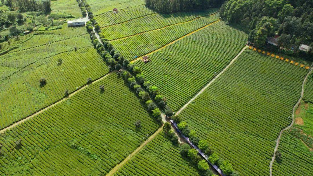 中国化学天辰公司自有技术成功入选首批石油和化工行业全面绿色转型“十大典型案例”