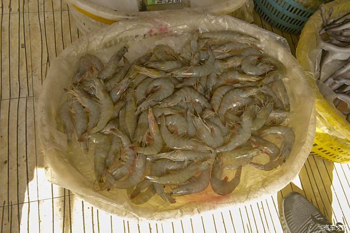 冬游市场旅居热