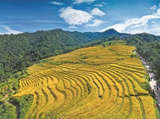 宏观调控有力有效——二〇二四年中国经济观察