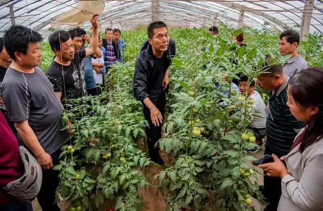 郑州商品交易所：服务新疆红枣产业发展 助力推进乡村全面振兴