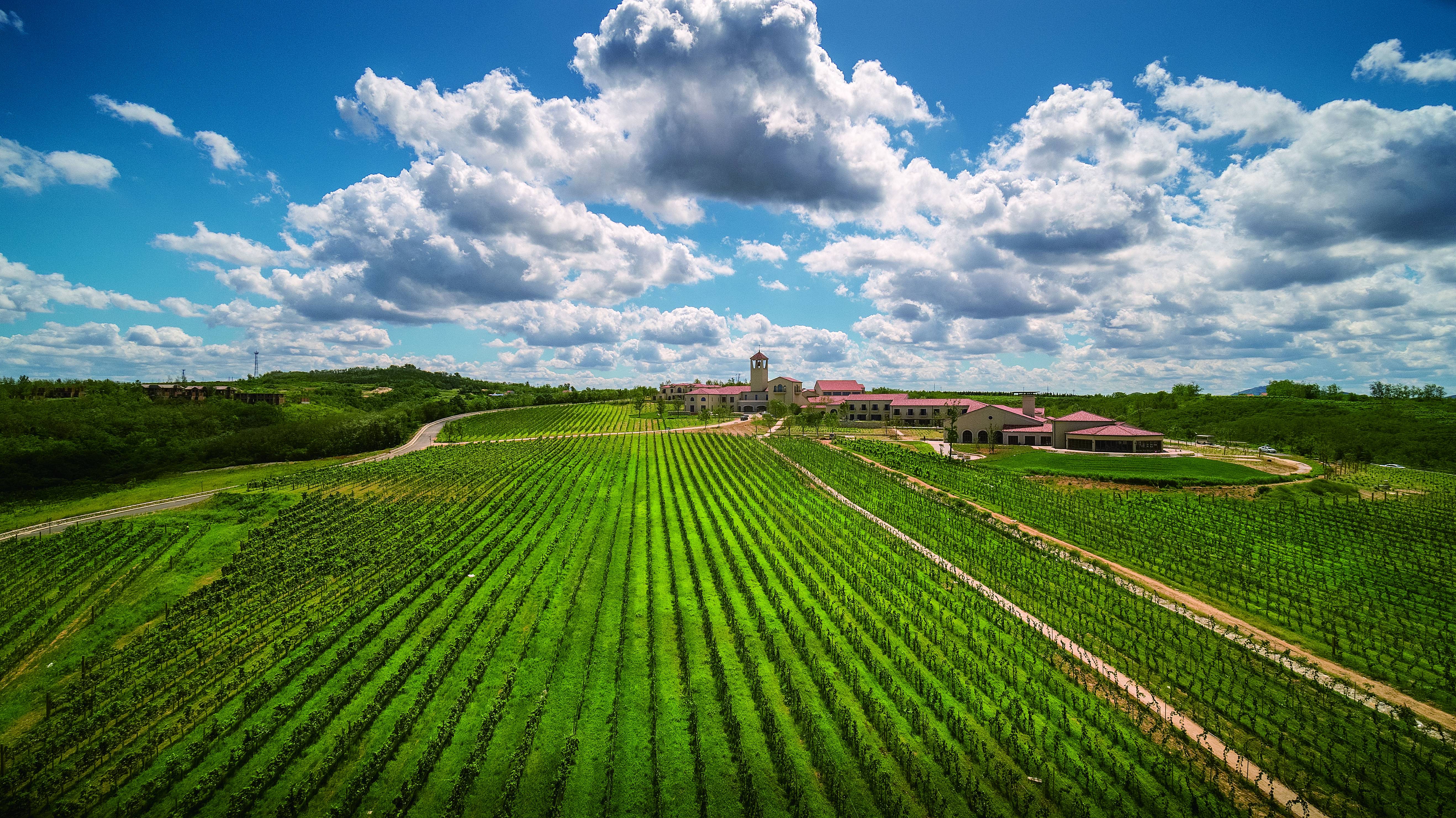 高质量发展·蹲点日记｜“城市矿山”迸发绿色潜能