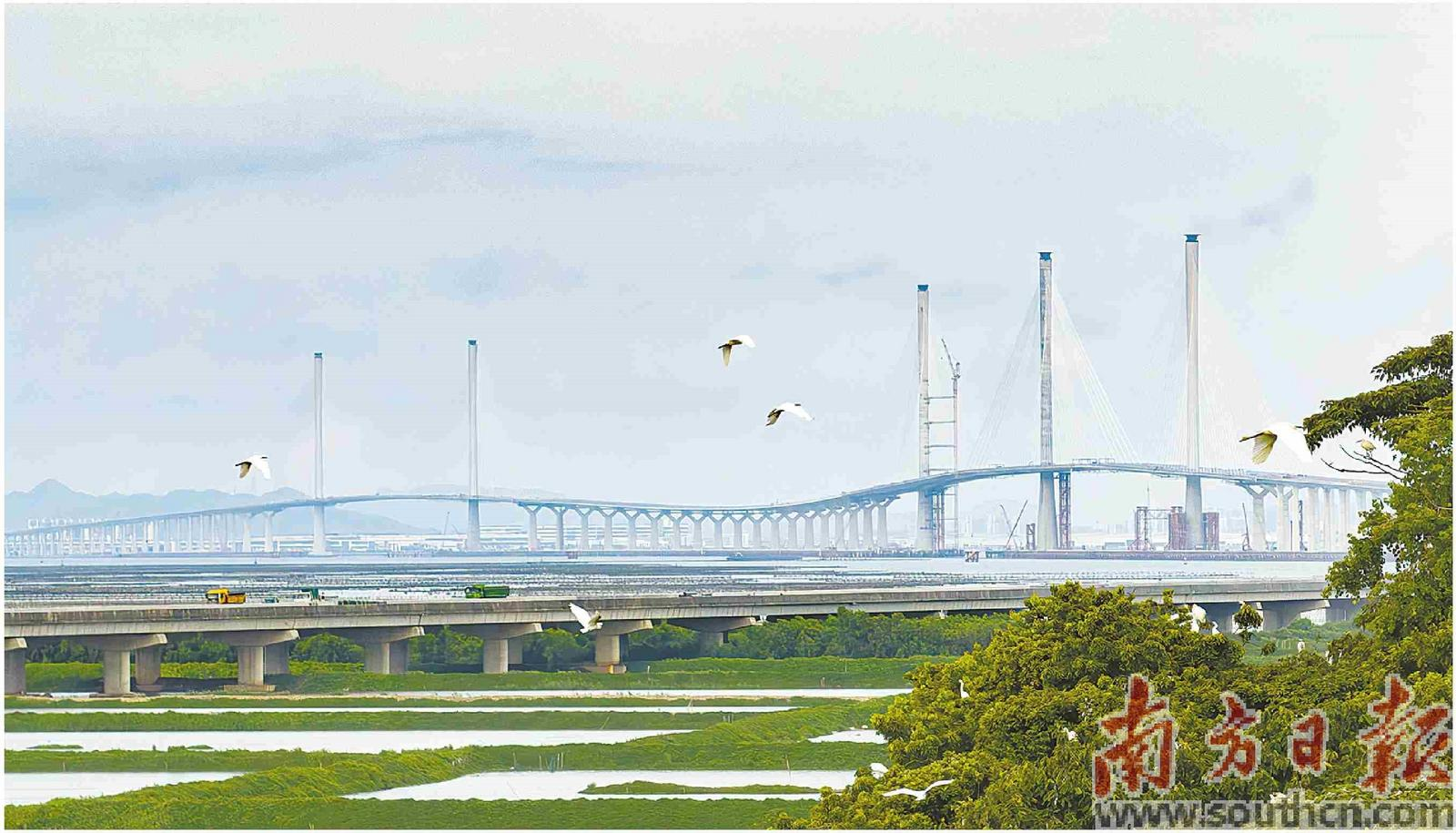 新华全媒+|黄茅海跨海通道通车 粤港澳大湾区再添“关键一横”