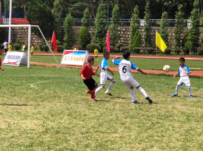 顶格募集60亿元 国内首只共同分类目录主题绿色债券基金成立