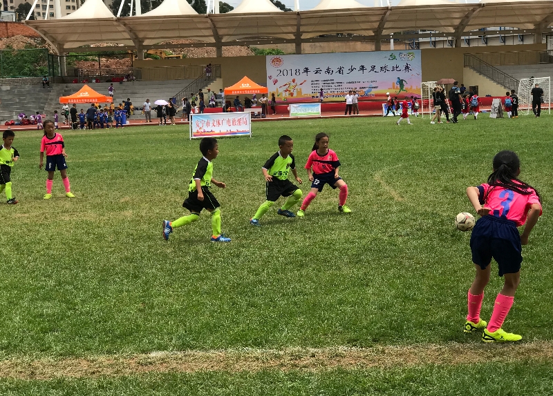 顶格募集60亿元 国内首只共同分类目录主题绿色债券基金成立