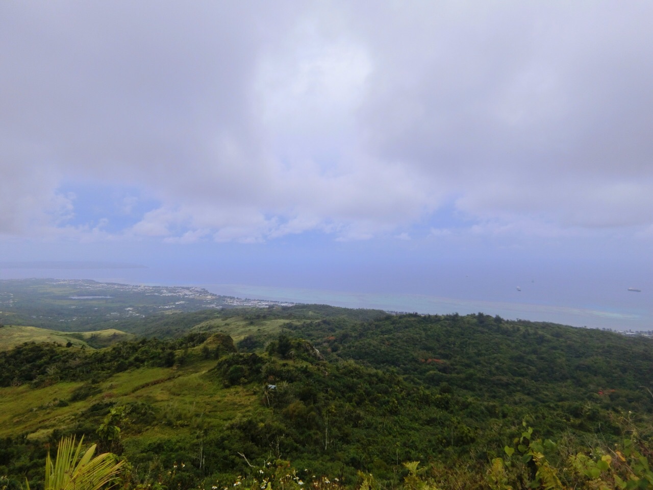 豆包概念引爆调研潮 机构“踏破”上市公司门槛