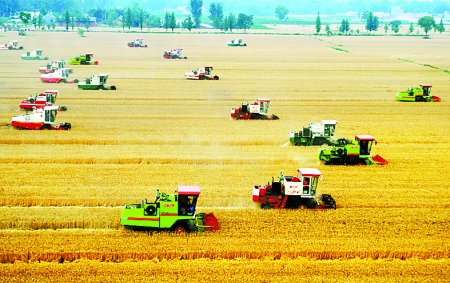 今年江苏粮食总产达762亿斤 连续11年稳定在700亿斤以上