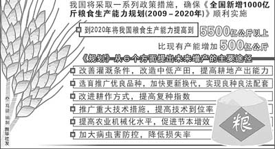 今年江苏粮食总产达762亿斤 连续11年稳定在700亿斤以上