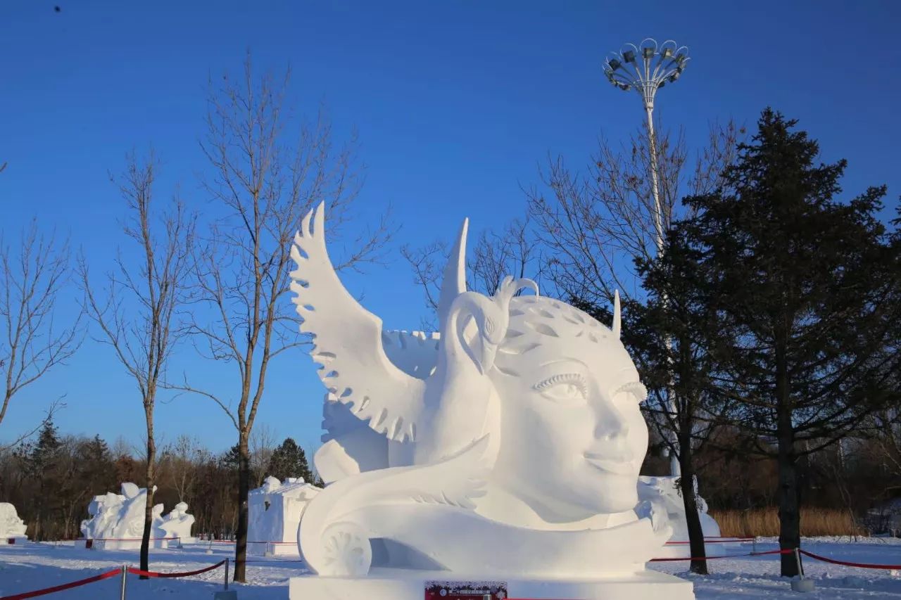 我国避寒游、冰雪游南北竞相升温