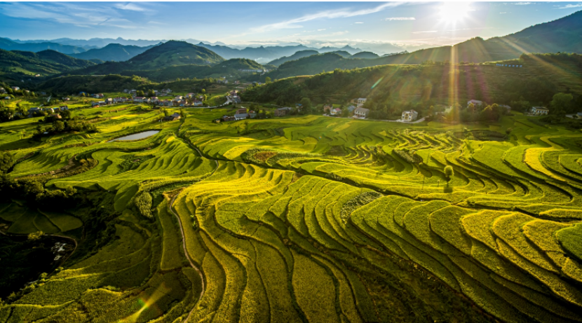 陕西步长入选陕西百强企业和民营50强企业榜单