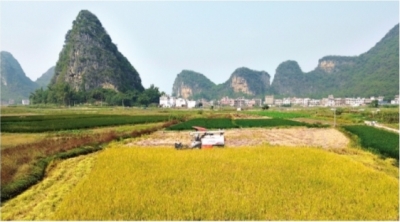 全国日均收购秋粮超200万吨