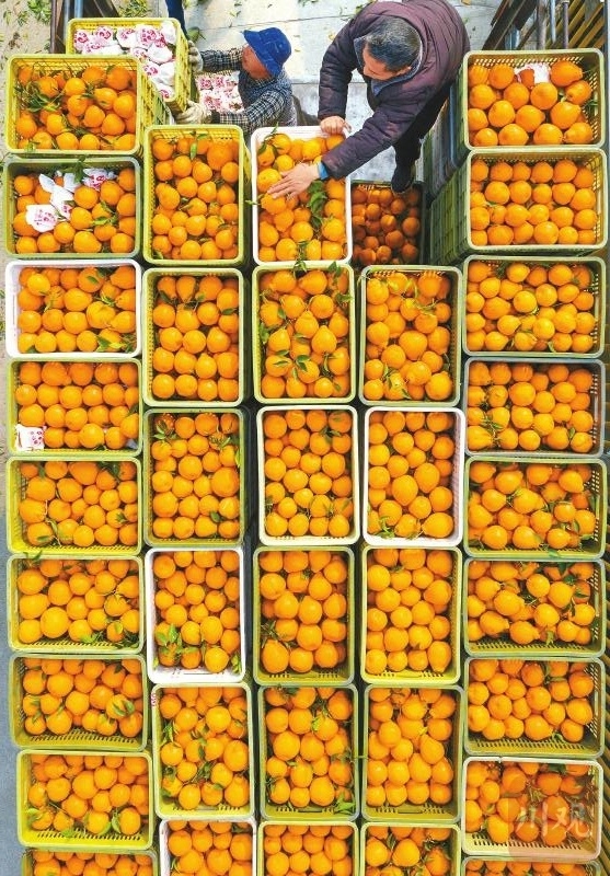 中国经济样本观察·“镇”了不起丨“纽”市场“扣”创新：小地摊“摆”出40亿元大市场