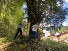 新华社权威快报丨全国检察机关立案办理公益诉讼案件超110万件