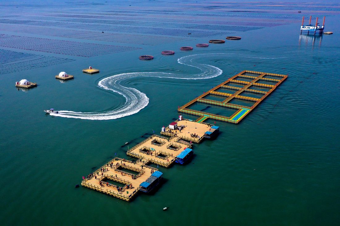 岁末经济微观察丨自主调改、寻求增量——重庆传统商超转型升级一线观察