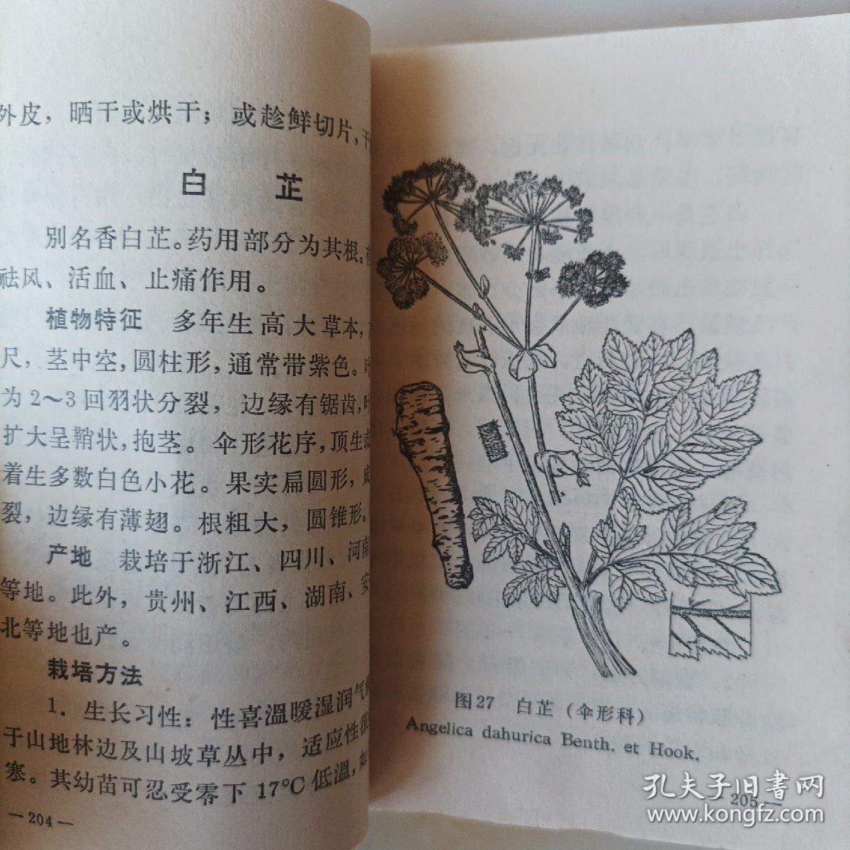 《中国共产党历史》第三卷上册出版发行