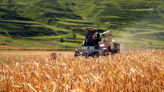 入股一年多，投资收益率近50%！这家银行股东何以“大丰收”？