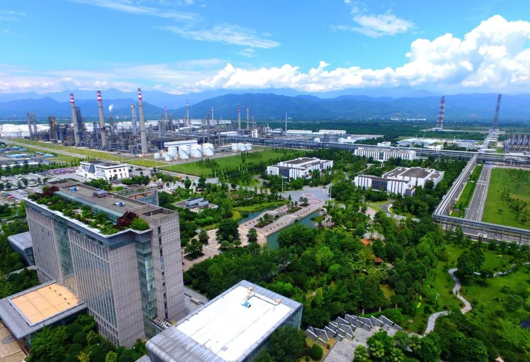 2024·区域协调高质量发展一线观察丨瞄准主攻方向 打造特色优势产业——西部高质量发展扫描