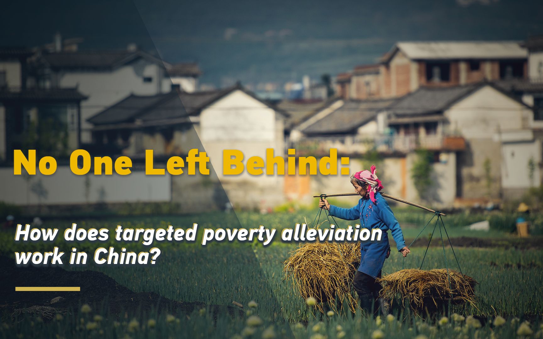 成长红利“一个都不能少” 基金投顾捕捉开年投资新机遇