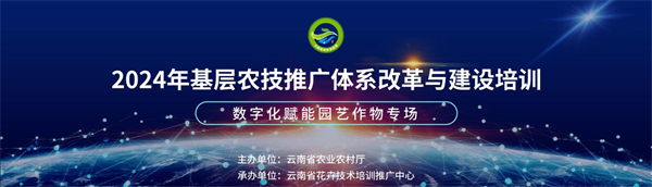 2024年供销合作社系统农业社会化服务规模首破3亿亩次