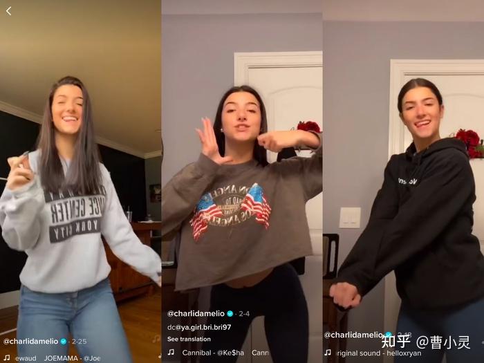 美媒：拜登将不执行TikTok禁令 交由特朗普决定