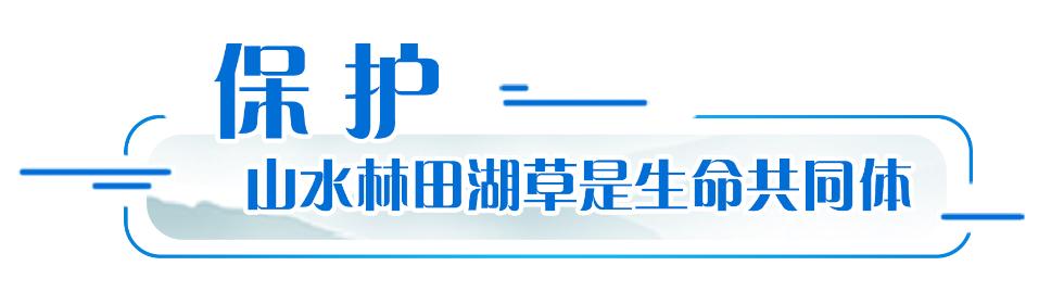 《习近平生态文明思想学习问答》出版发行
