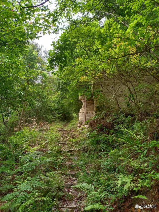 新春走基层|山村新事：一处闲房，两份收益