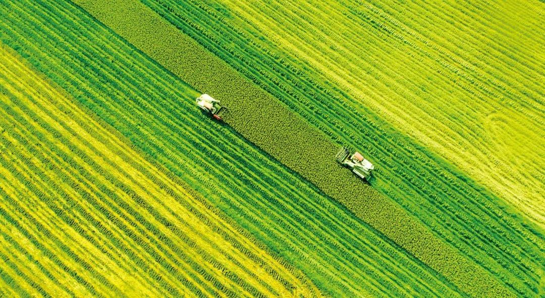 我国力争到2030年新增再生稻面积1000万亩左右