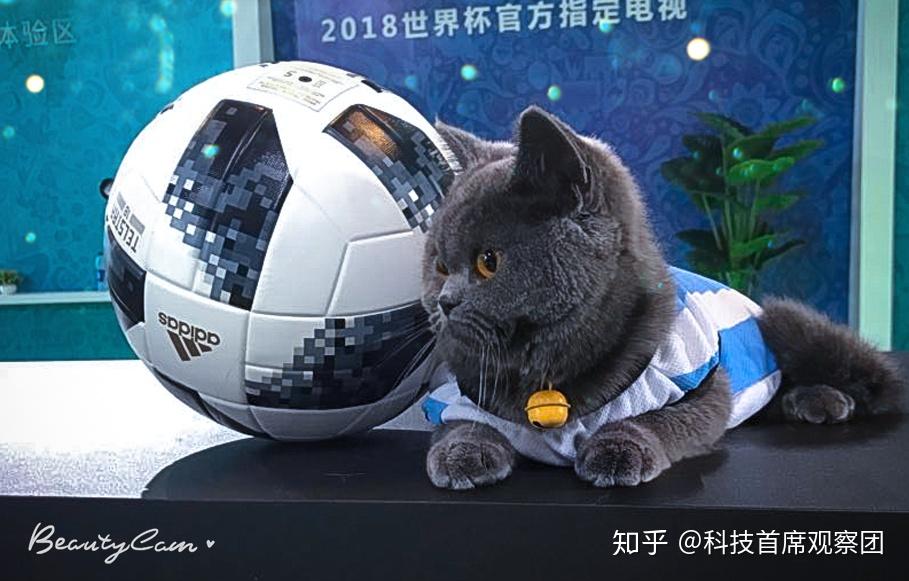 美图公司:近期BeautyCam新增全球用户超千万