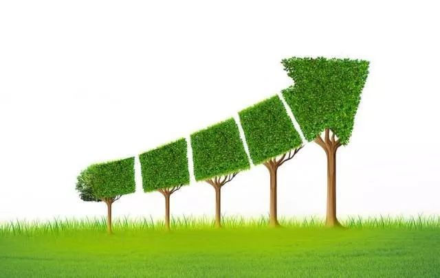 维尔利：提升新型绿色能源领域业务占比 持续现金分红增强股东回报