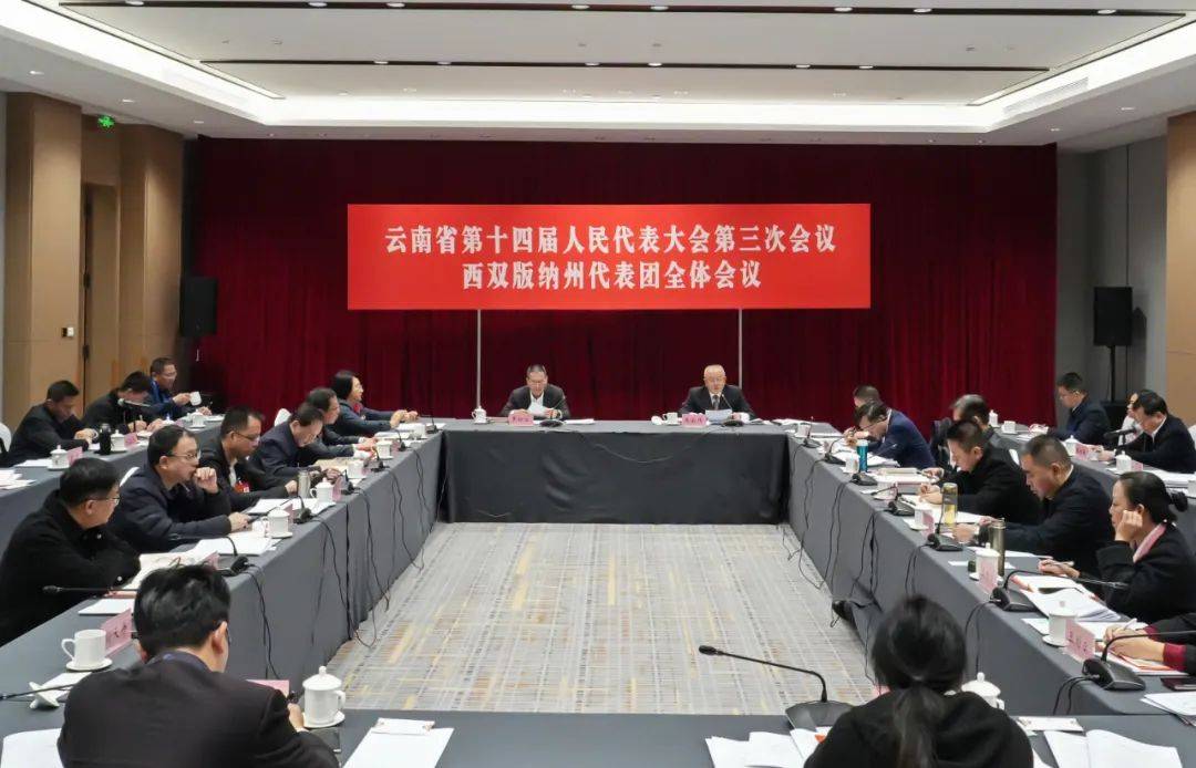 两会综合报道丨守护公平正义 服务发展大局 增进民生福祉——代表委员审议讨论两高报告