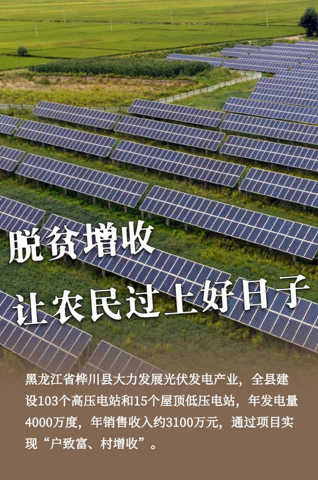 会外看会丨这些“三农”内容，让农民增收有了新“密码”