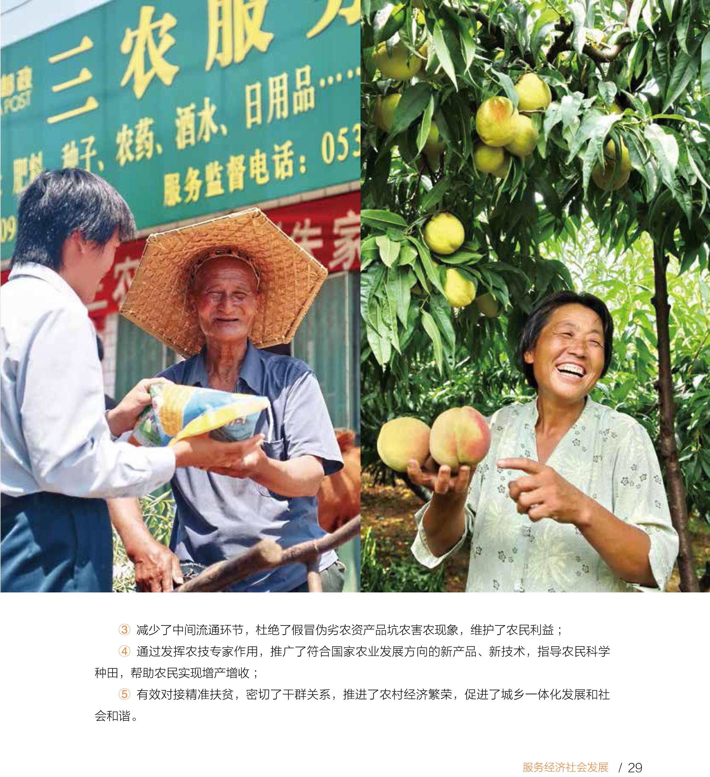 会外看会丨这些“三农”内容，让农民增收有了新“密码”