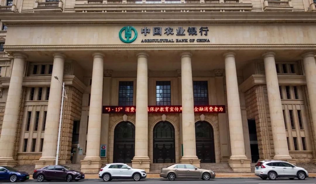 中国农业银行董事长谷澍:聚金融力量 谱全球南方发展新篇章