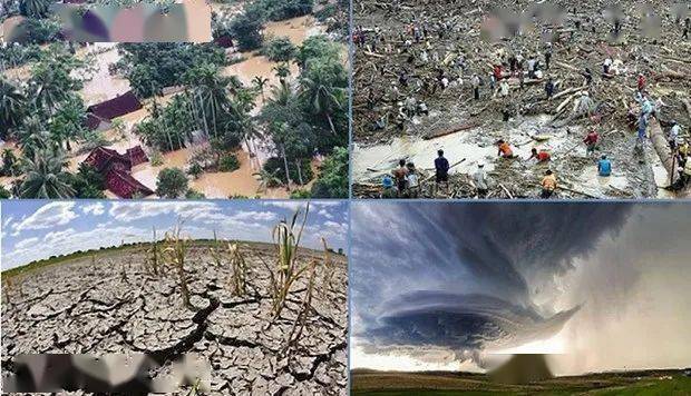 天合光能发布极端气候解决方案