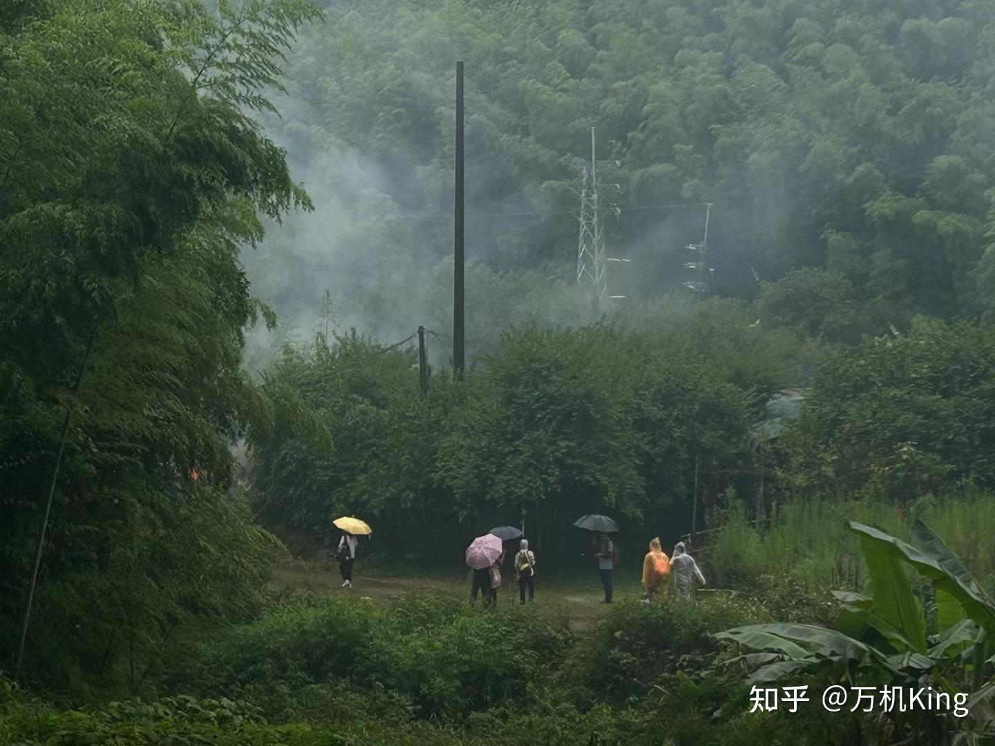 中国引导数字游民更好参与乡村振兴