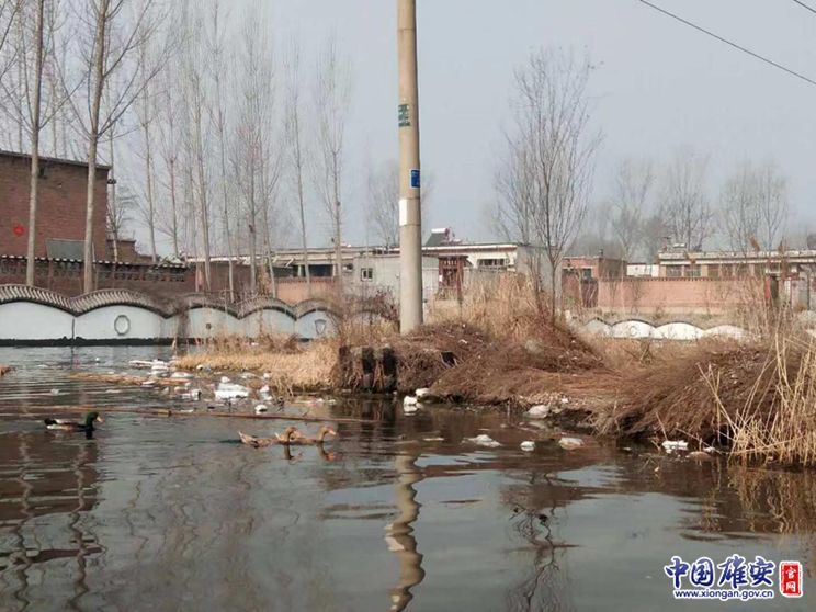 雄安之妙:兴,一个“村”的创新热