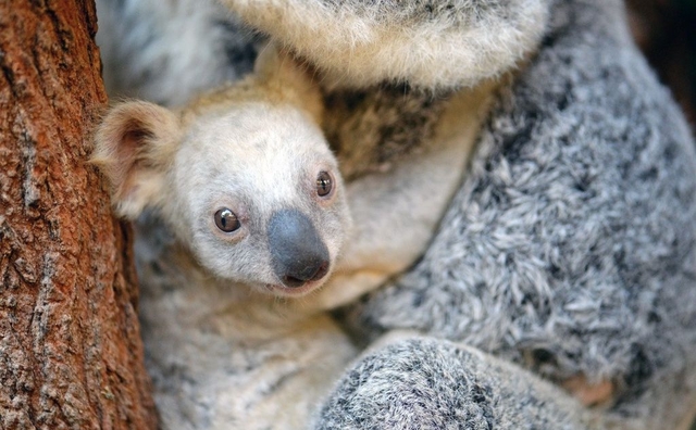第一观察·瞬间 | 特殊的礼遇 友谊的见证