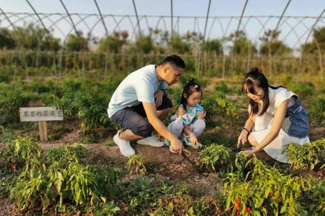 新融合、新玩法、新体验 “五一”假日经济活力涌动