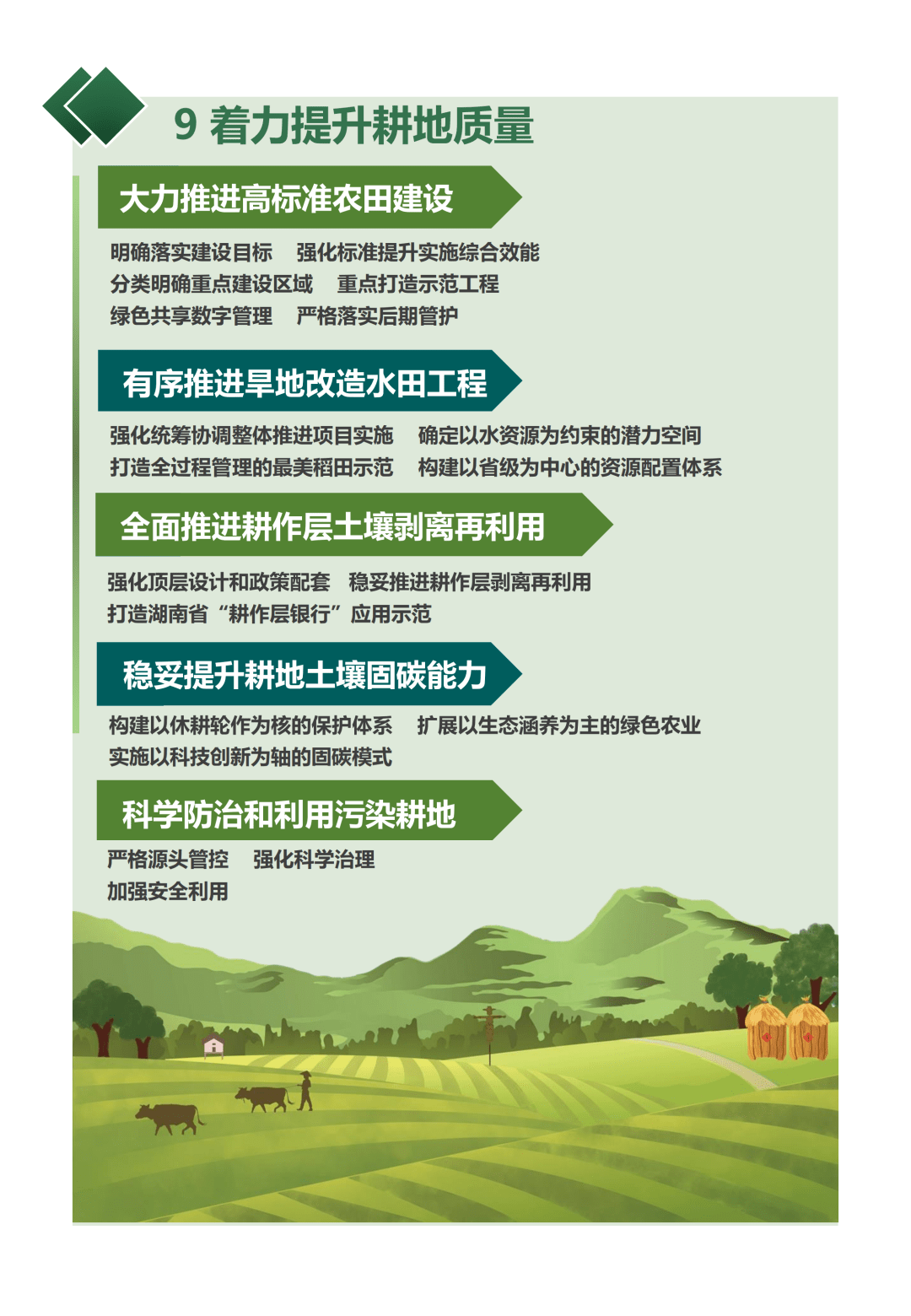 提升农业科技创新体系整体效能!这份实施意见作出明确部署