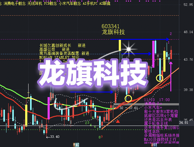降本增效成主旋律：新能源车企加速品牌整合