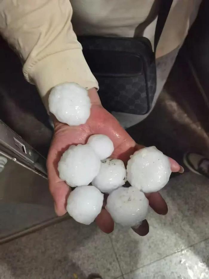 因冰雹出险保费会涨吗