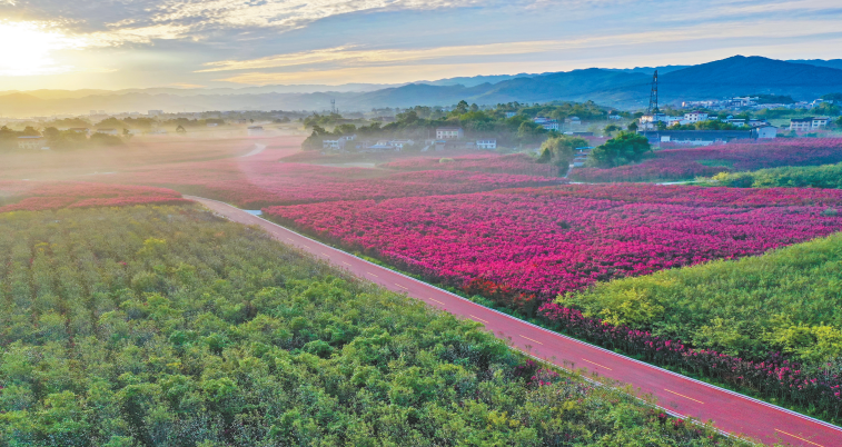 华林证券：文化赋能新篇章 百万助力乡村振兴
