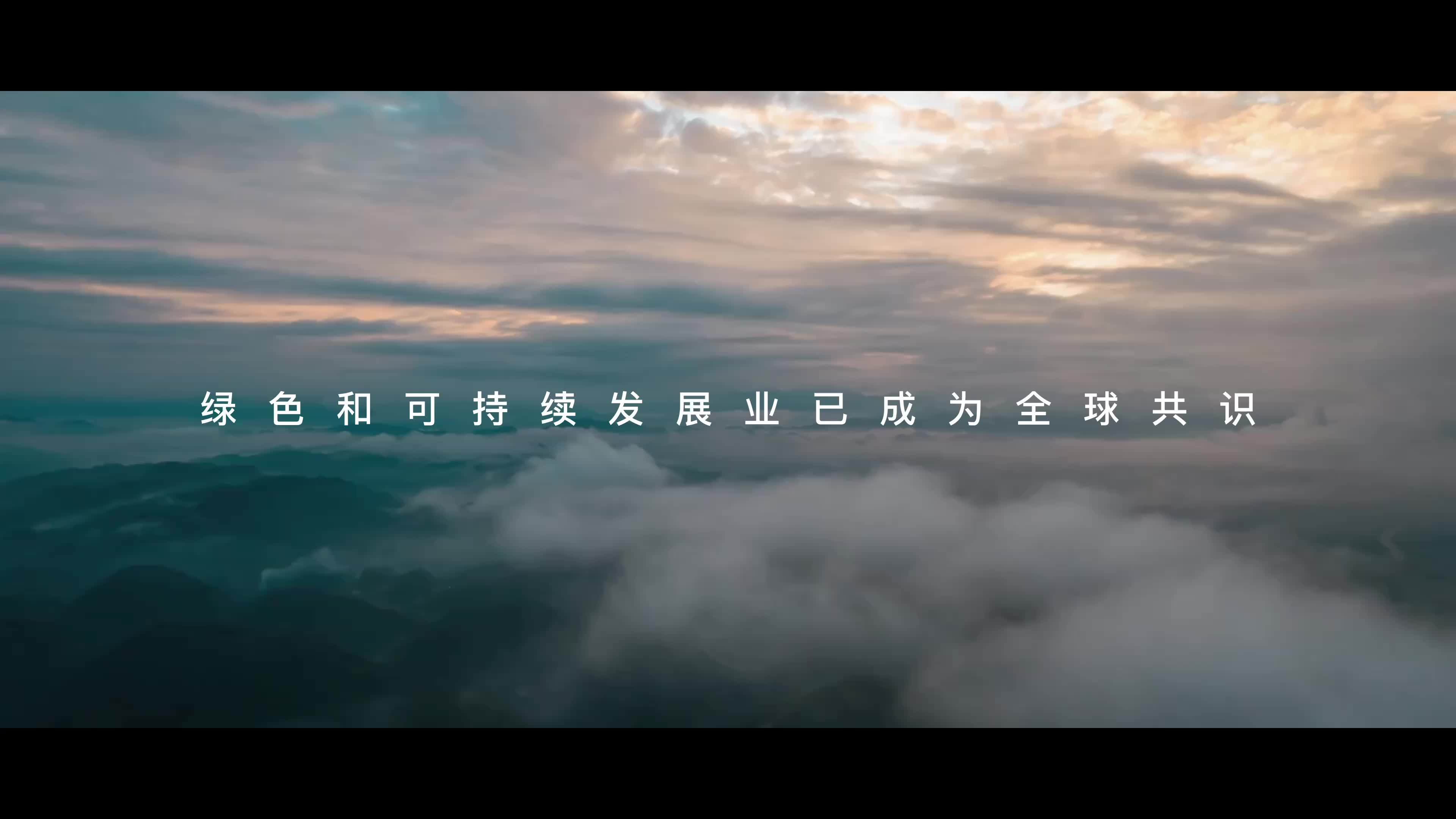 宁波舟山港与欧洲三大枢纽港共建绿色航运走廊