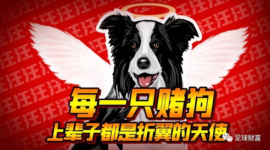 抑制“赌风格追热点” 浮动费率基金锚定目标拼业绩