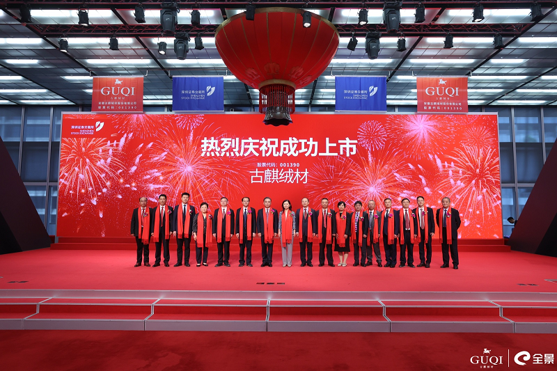 芜湖市境内外上市公司达30家